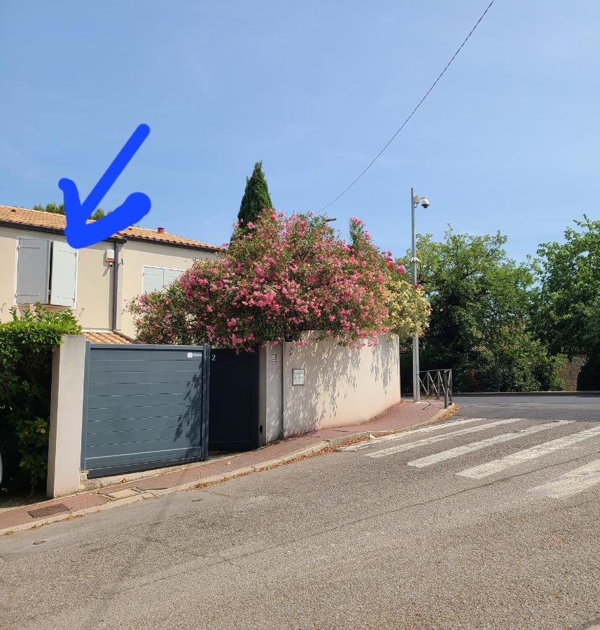 شقة مونبيلييه  في Chez Nous Dans Notre Petit Jardin المظهر الخارجي الصورة