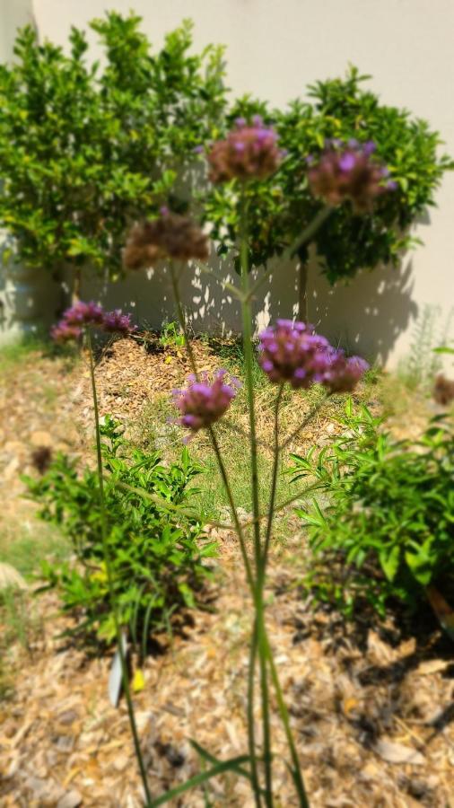 شقة مونبيلييه  في Chez Nous Dans Notre Petit Jardin المظهر الخارجي الصورة