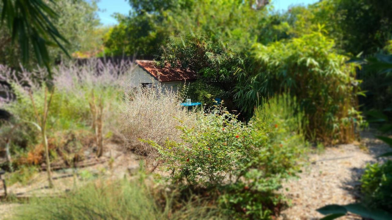 شقة مونبيلييه  في Chez Nous Dans Notre Petit Jardin المظهر الخارجي الصورة